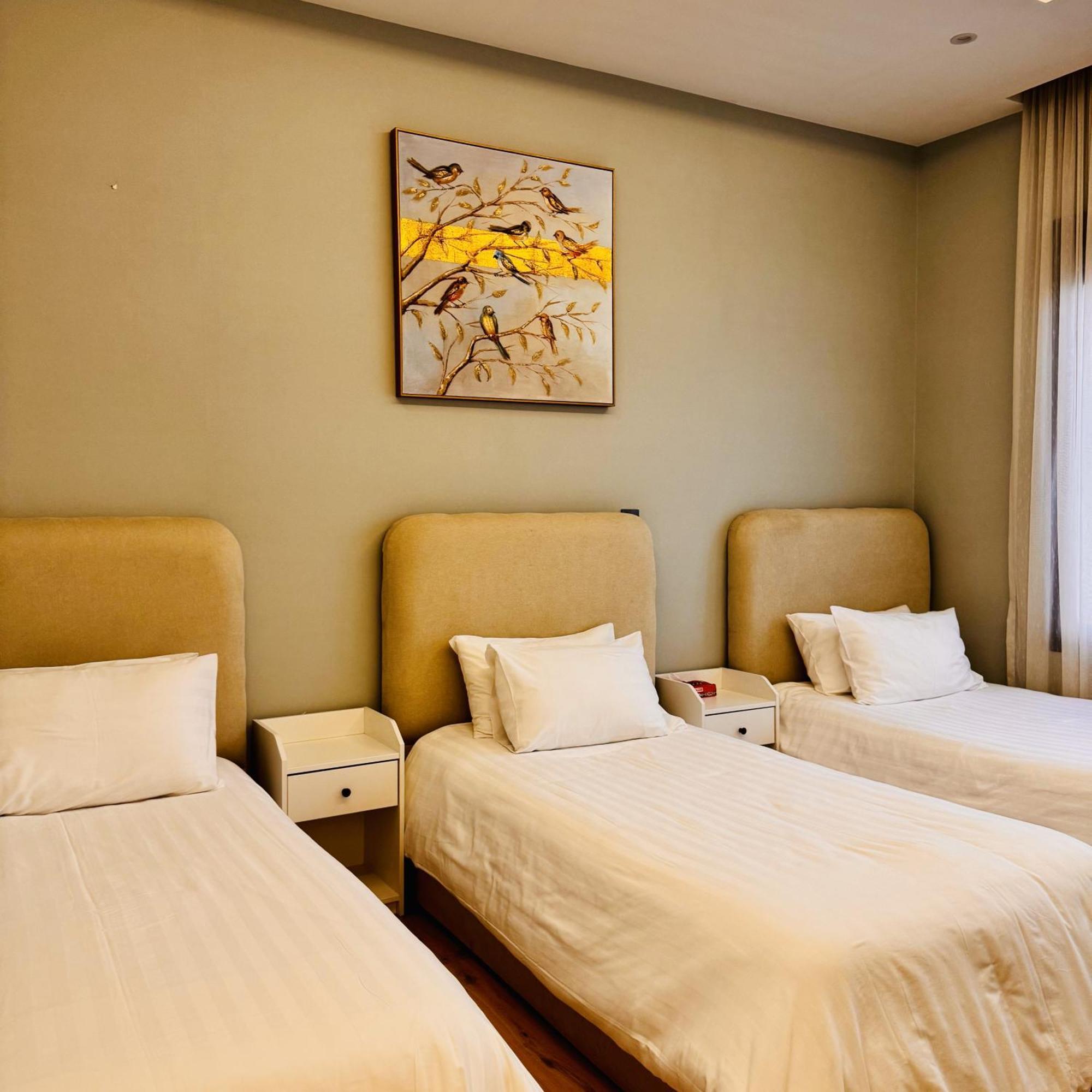 Apartment Spacious And Modern For Rent In Ergah,